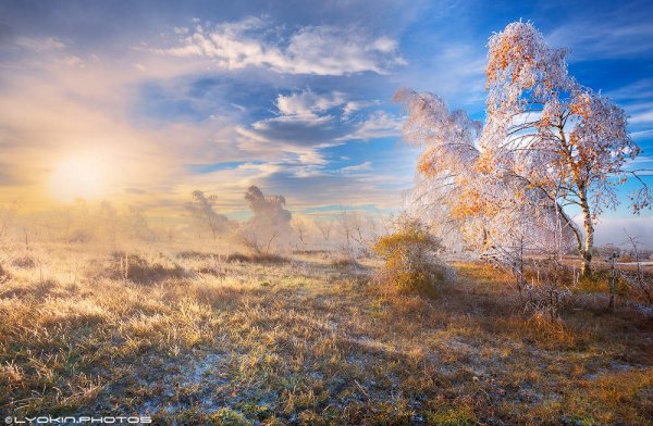 Солнечное морозное осеннее утро