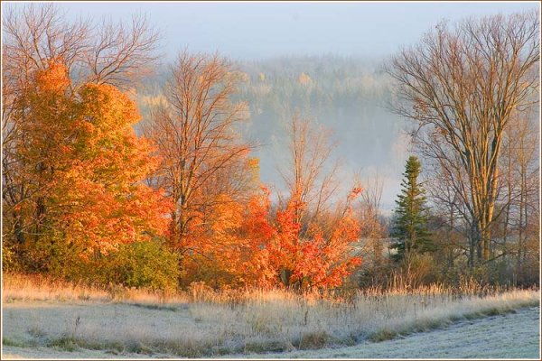 Межсезонье осень зима