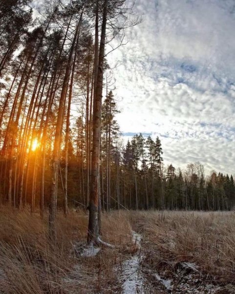 Ноябрь природа