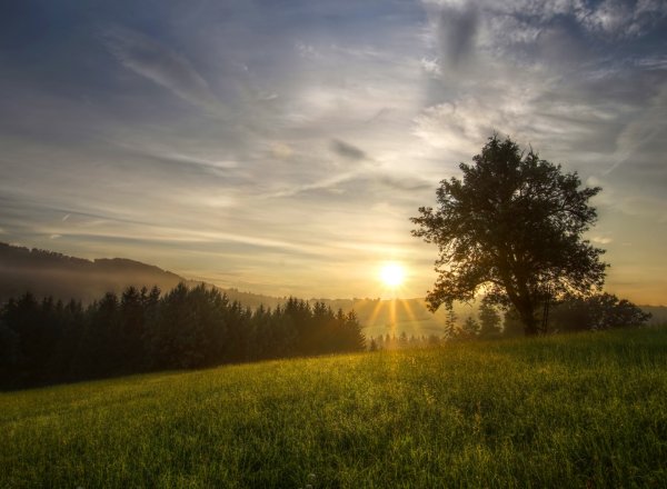 Пейзаж Заря