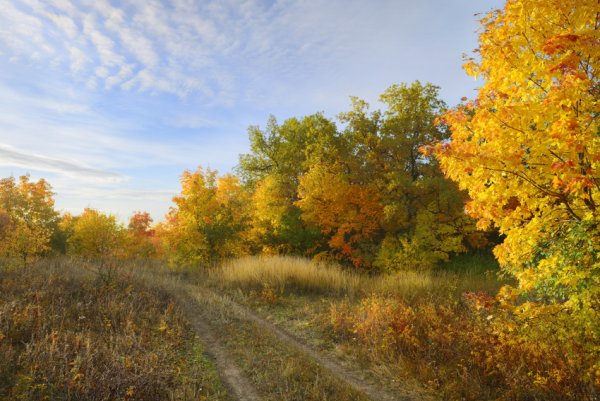 Осень раннее утро