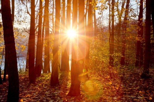 Осенний рассвет