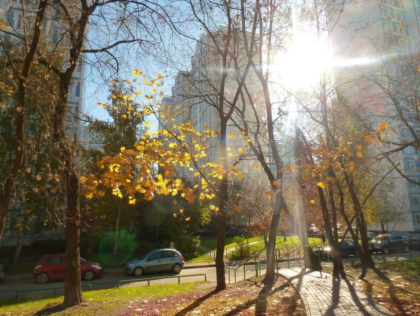 Осень город солнце