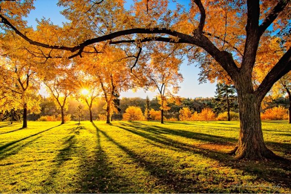 Солнечная осень