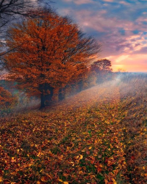 Осенний рассвет