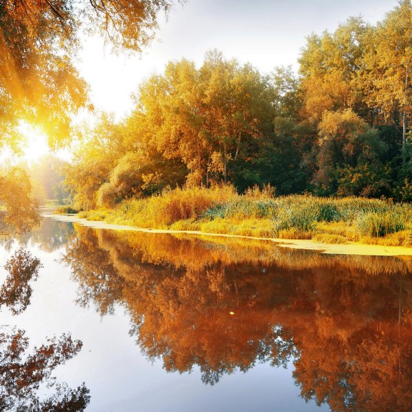 Сентябрь природа