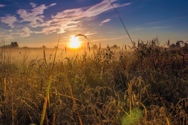 Августовский рассвет