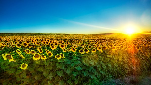 Пейзаж рассвет