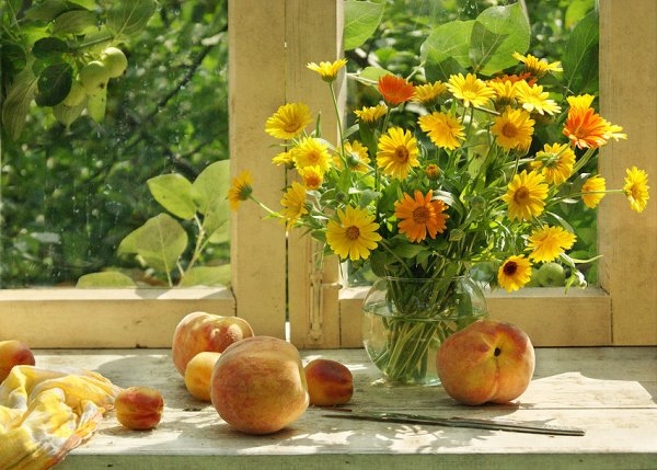 Осенние дачные цветы