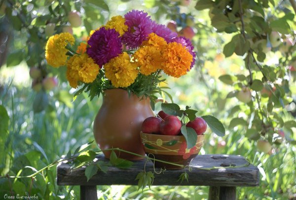 Раннее утро