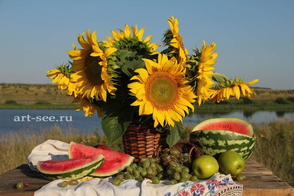 Рассвет в лесу