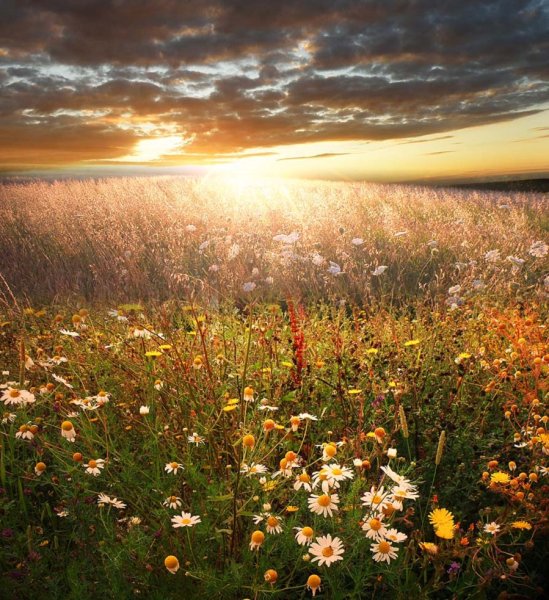 Солнечное утро