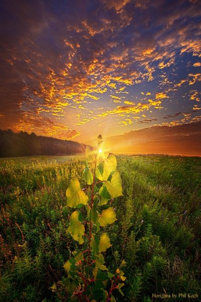 Августовское солнце