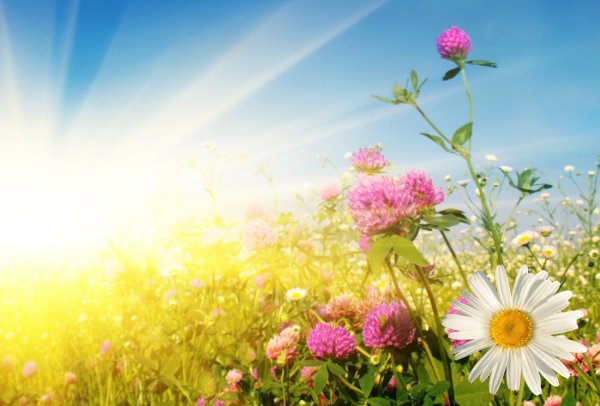 Август закат