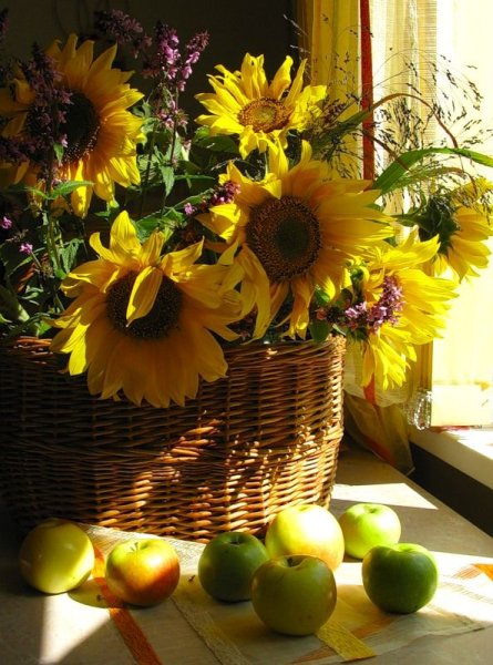 Цветы августа