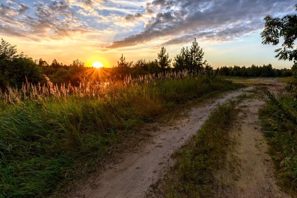 Август природа