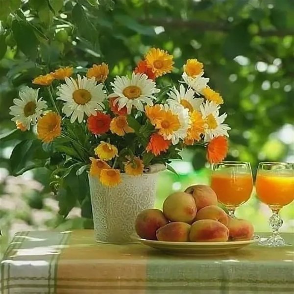 Конец августа природа