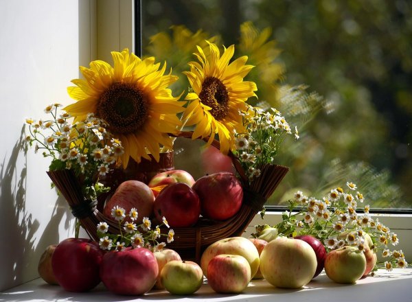 Летние открытки