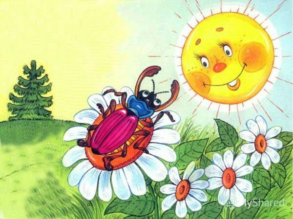 Шмель подлетает к цветку