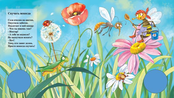 Бабочки на лугу