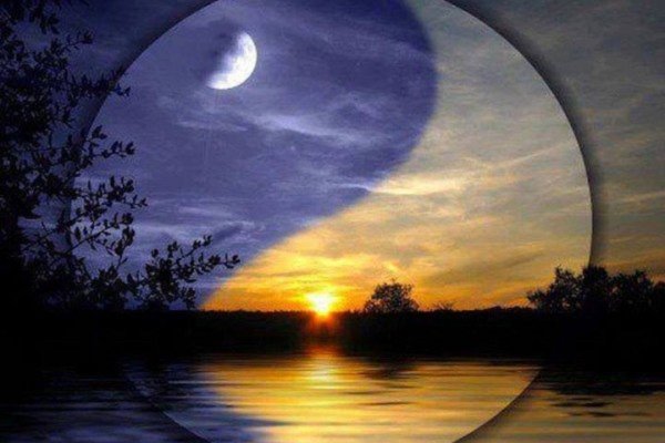 Инь Янь природа