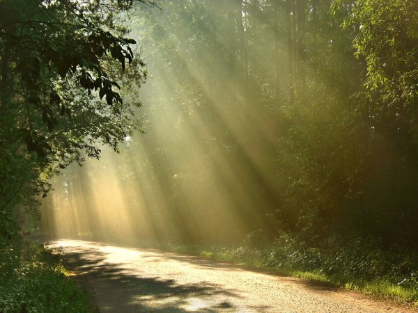 Летний дождь