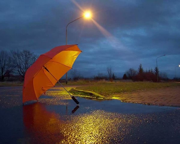 Дождь зонтик