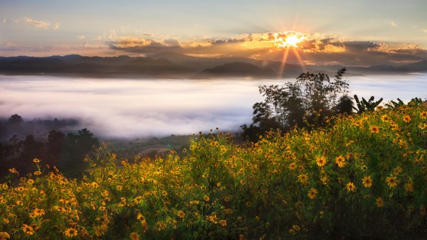 Природа закат