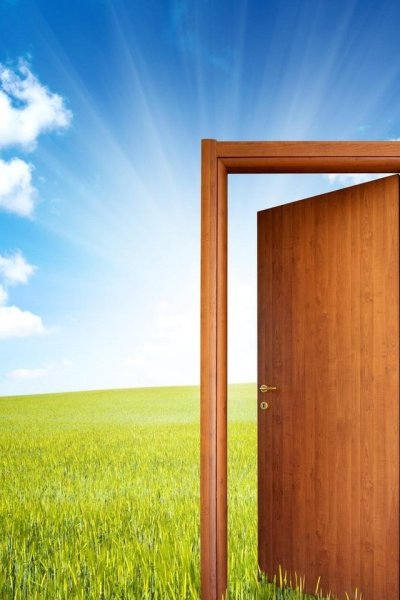 Кузьмин дверь на лугу