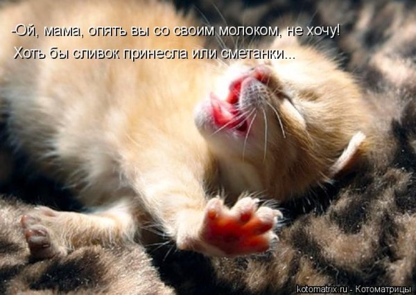 Моё солнышко проснулось