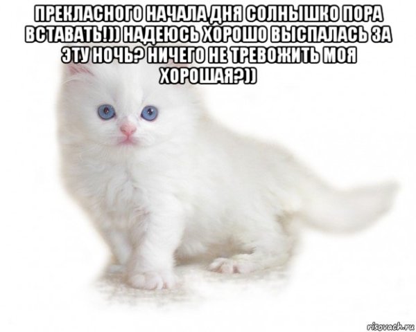 Солнышко моё вставай