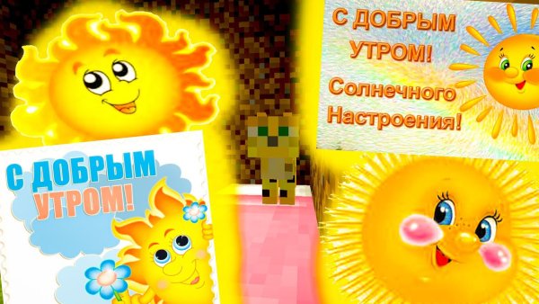 Солнышко проснулось кот