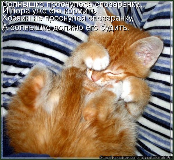 Доброе утро солнце