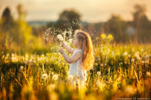 Солнце счастье радость