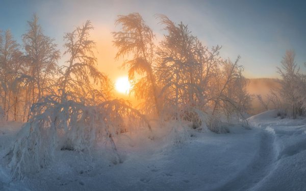 Мороз и солнце