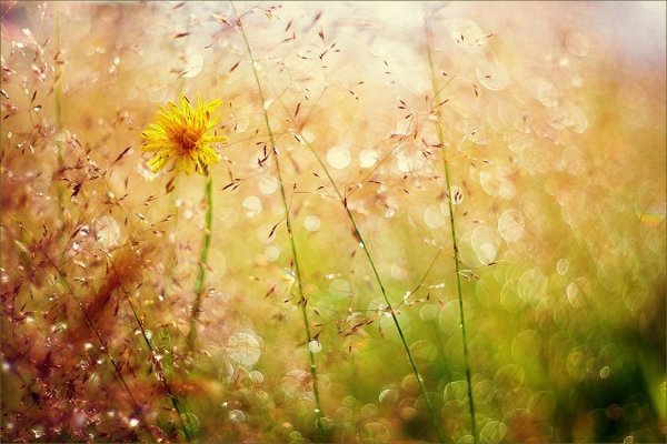 Море солнце счастье