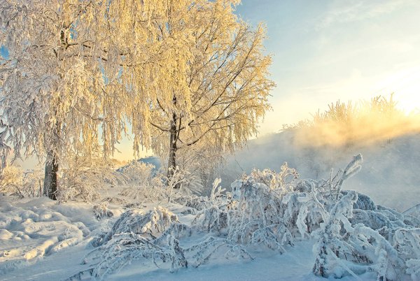 Пейзажи зимы Мороз и солнце