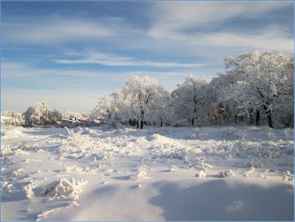 Мороз и солнце день чудес