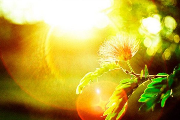 Благодать счастье