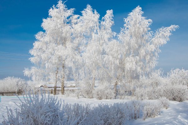 Зимний пейзаж
