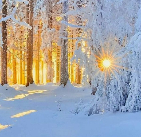 Мороз и день чудесный картинка без текста