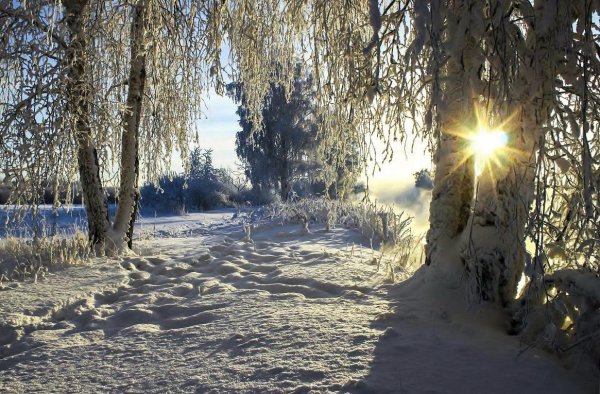 Русский зимний полдень