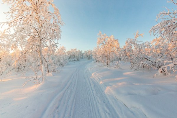 Мороз и солнце деньчудесн