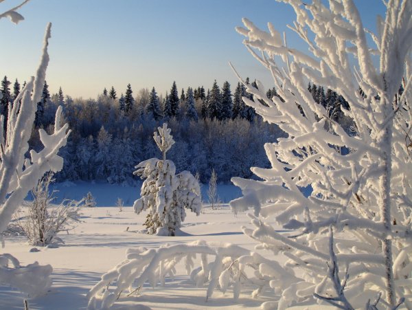 Солнце в морозный день