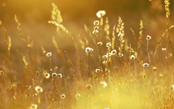 Море небо солнце