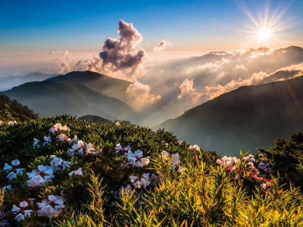 Летнее утро в горах