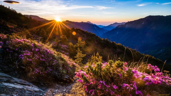 Лето рассвет