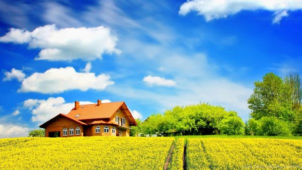 Красивый дом в поле