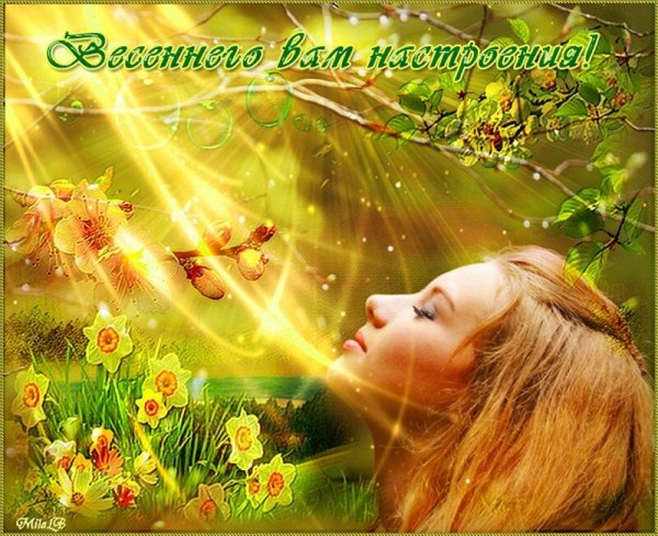 Весенний лучик солнца