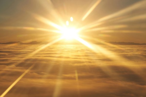 В лучах дневного солнца